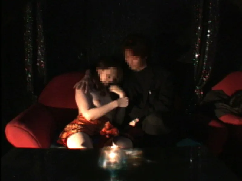 摘発!検挙!! ドスケベ日本列島 大都会24時 サンプル1